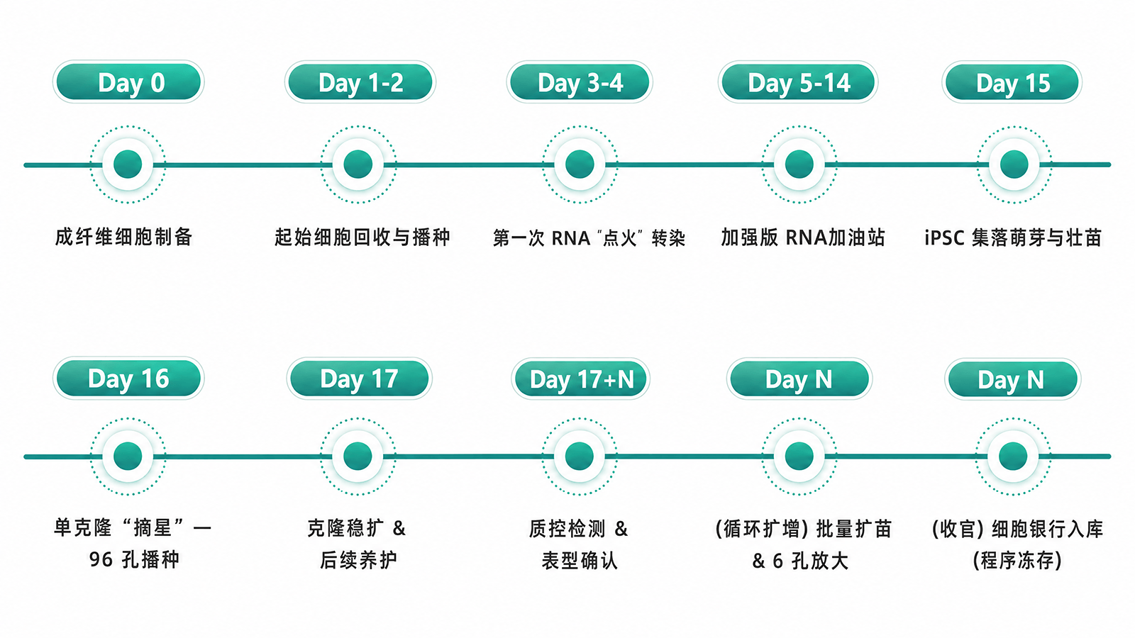 全自动iPSC制备工作站配图2